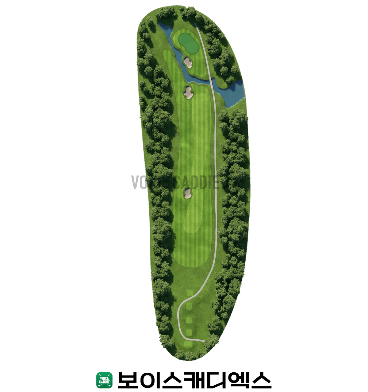 Course 코스