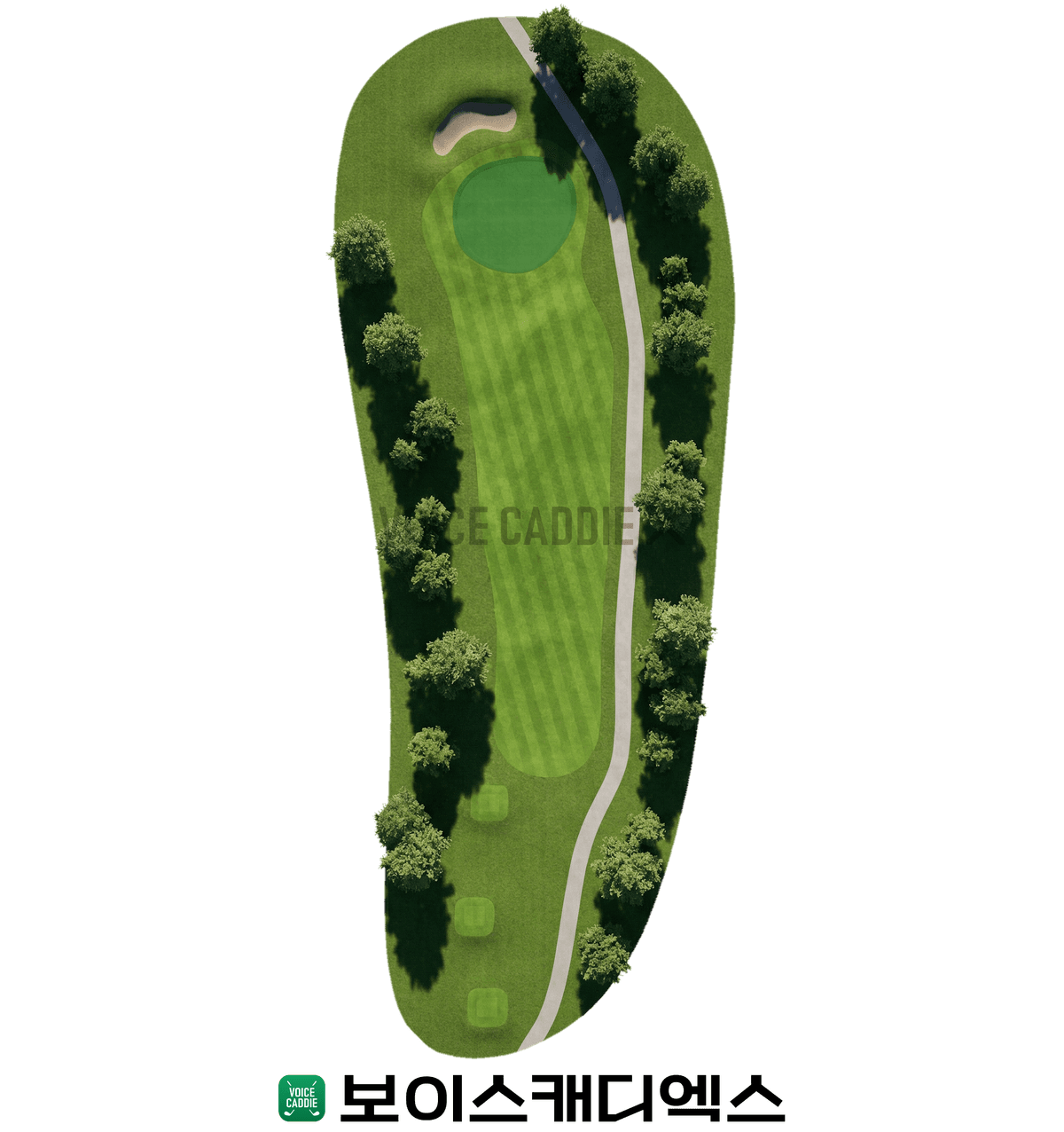 Course 코스