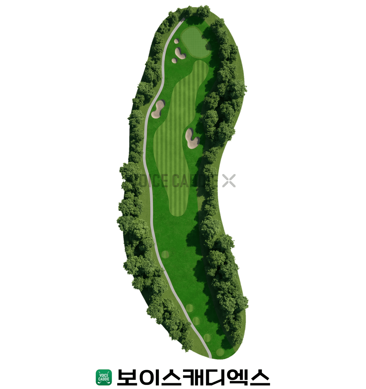 Course 코스