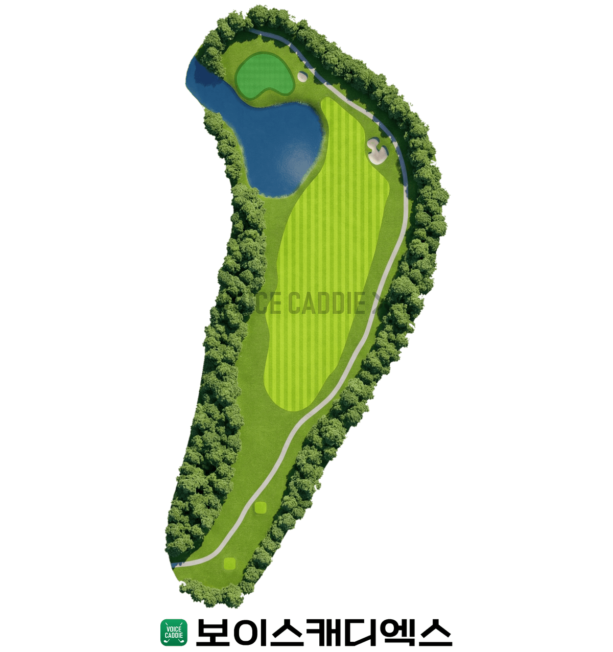 Course 코스