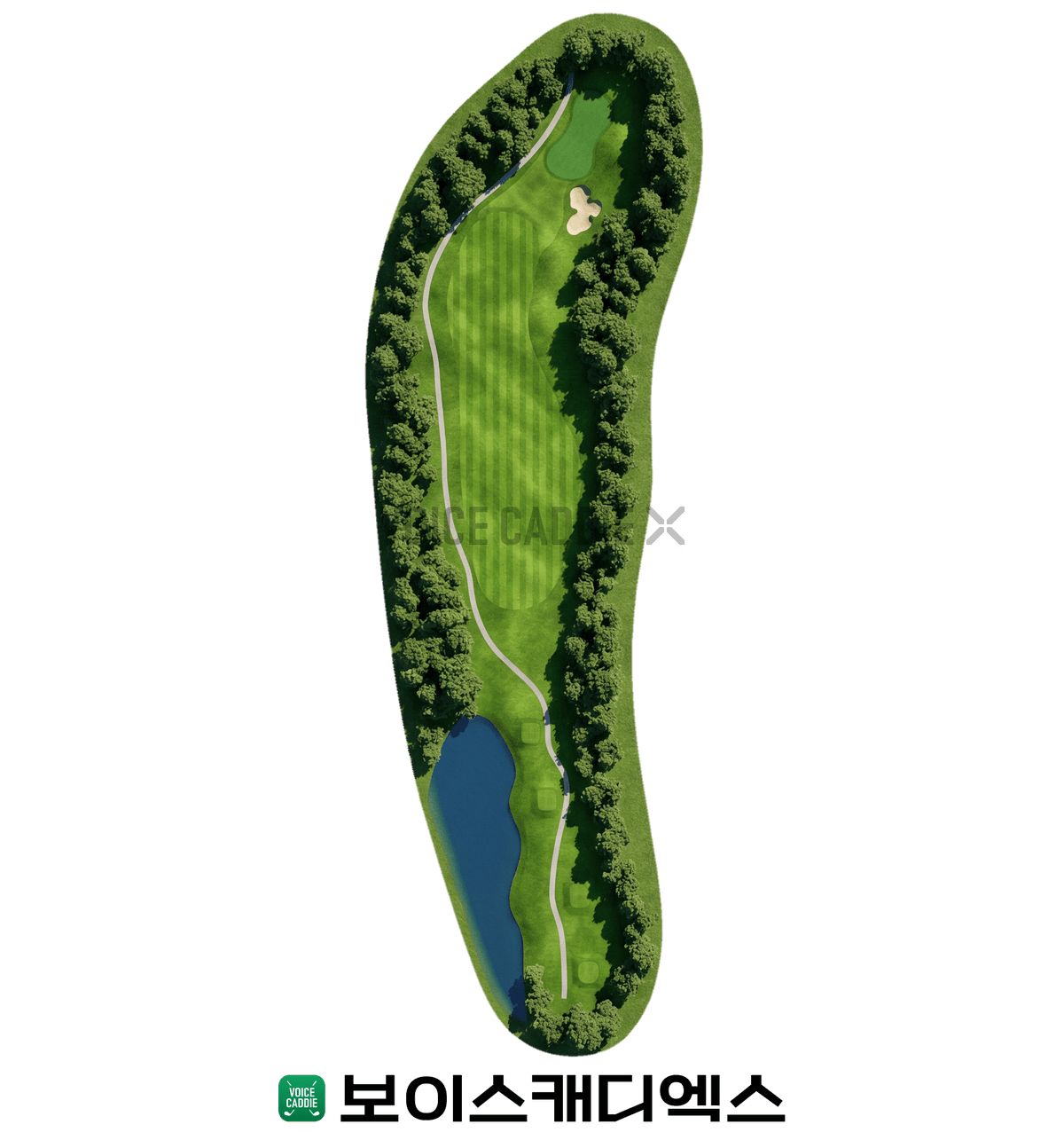 Course 코스