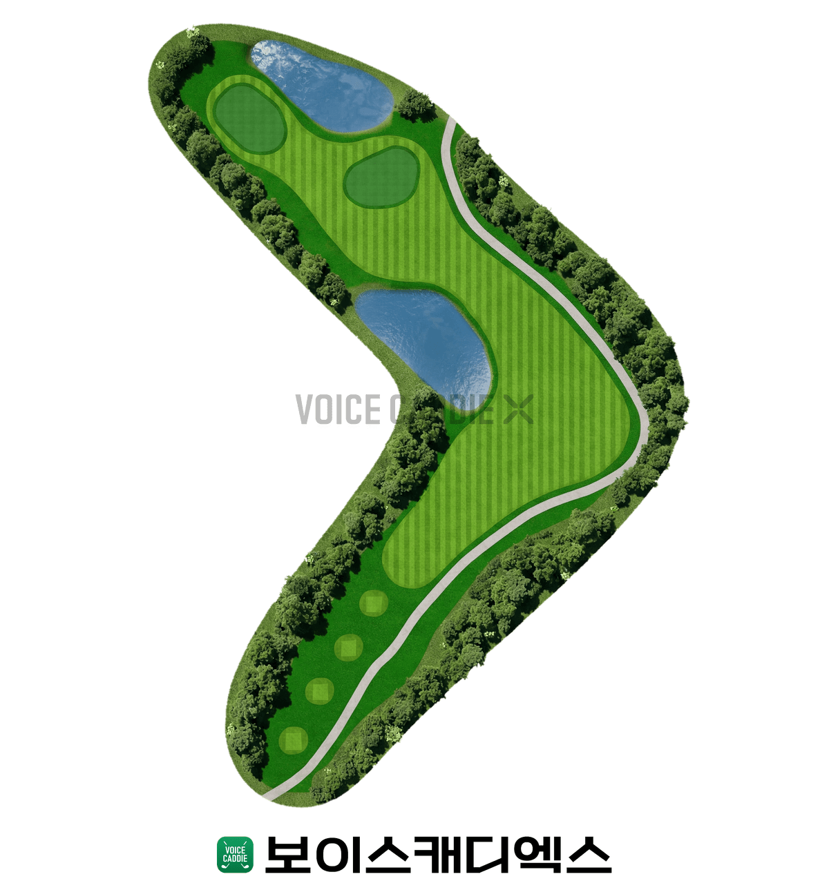 Course 코스