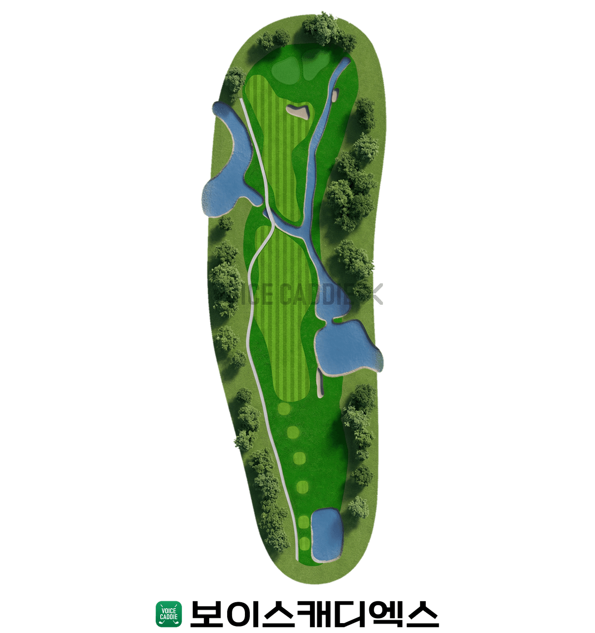 Course 코스