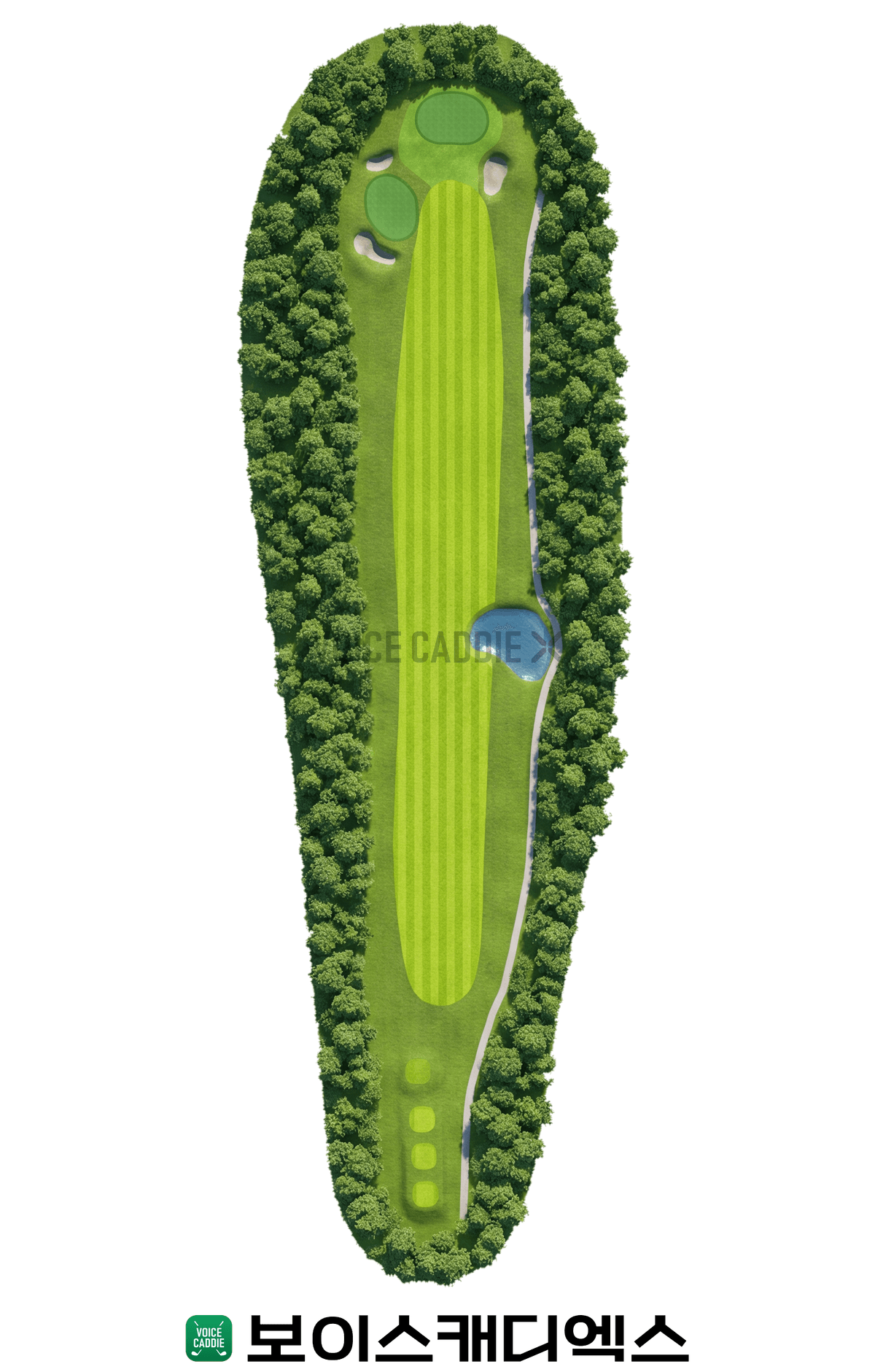 Course 코스