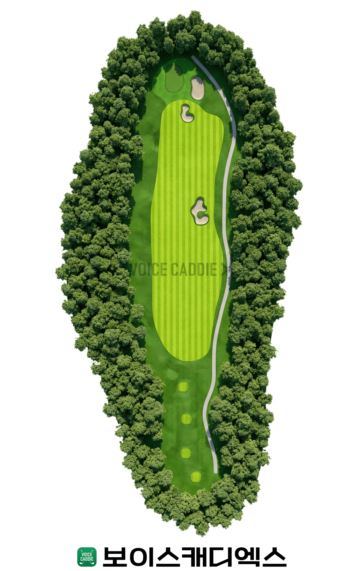 Course 코스