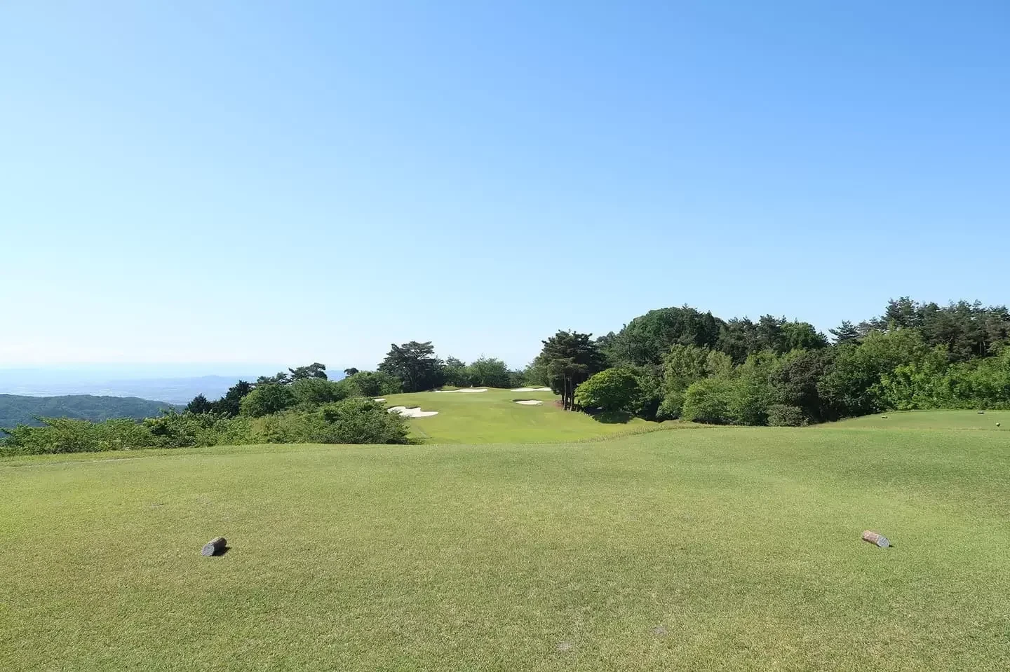 베니 CC 이미지 1