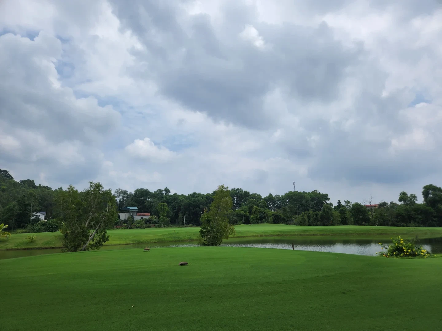 Dai Lai Star Golf & CC 이미지 1