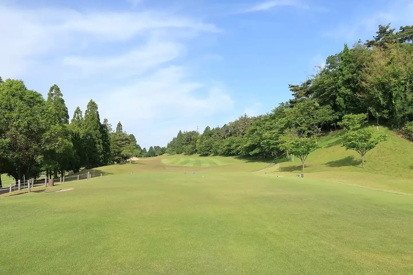 베니 CC 이미지 3