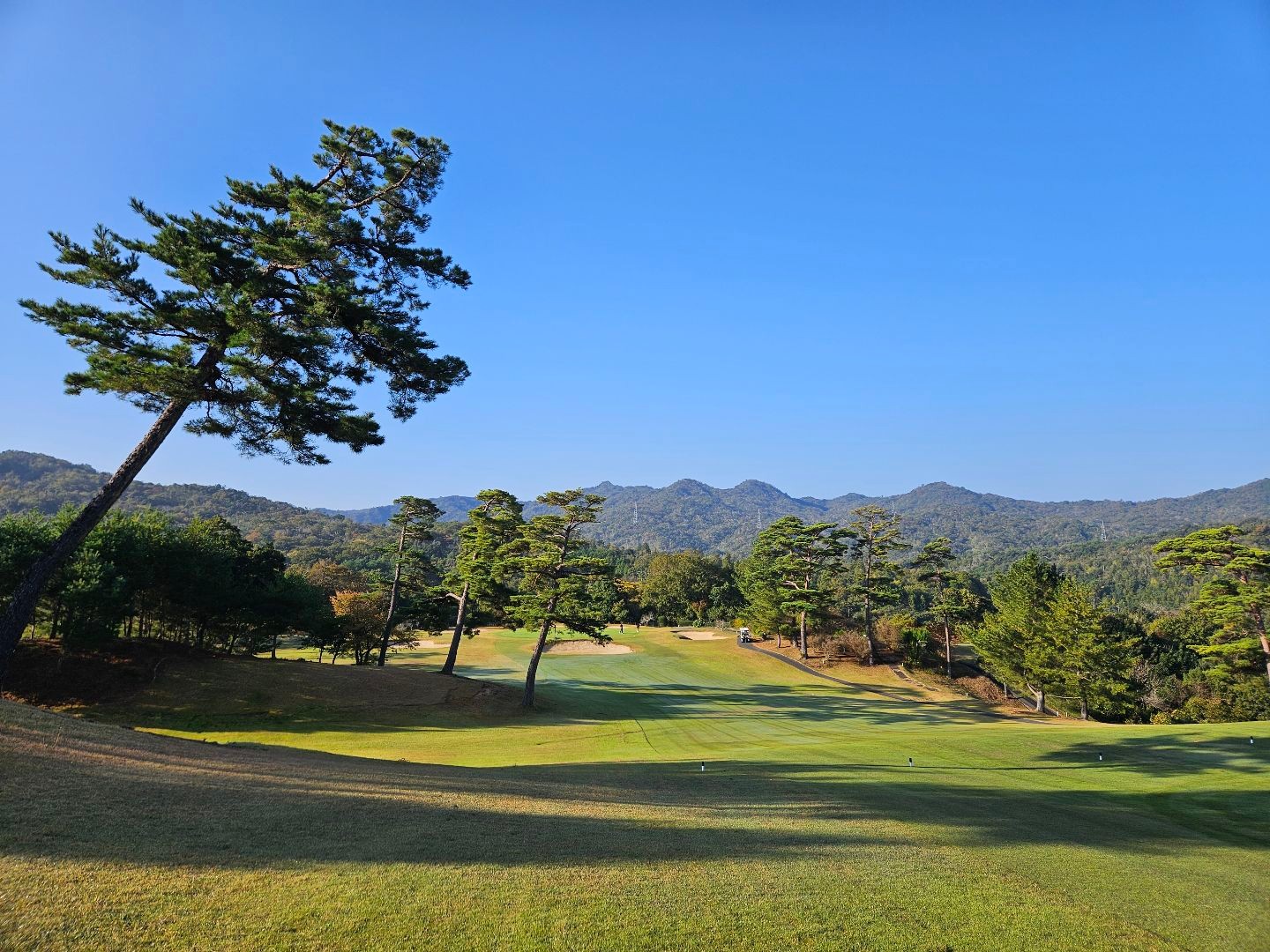 센이바라 CC 이미지 1