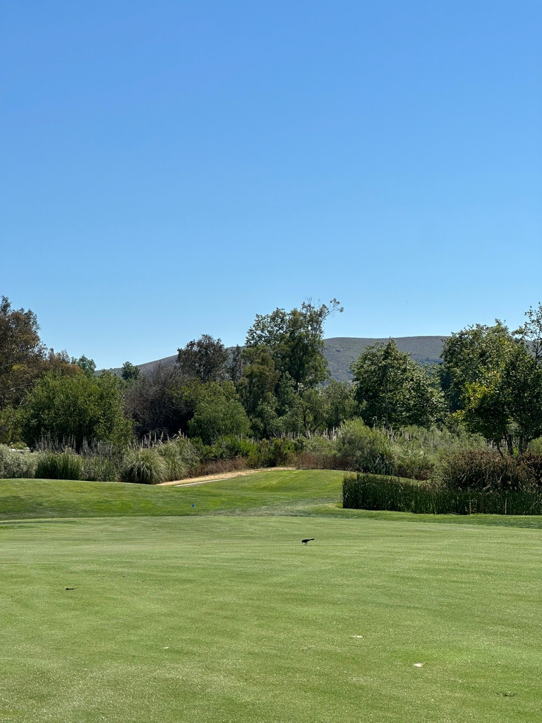 Wood Ranch CC 이미지 1