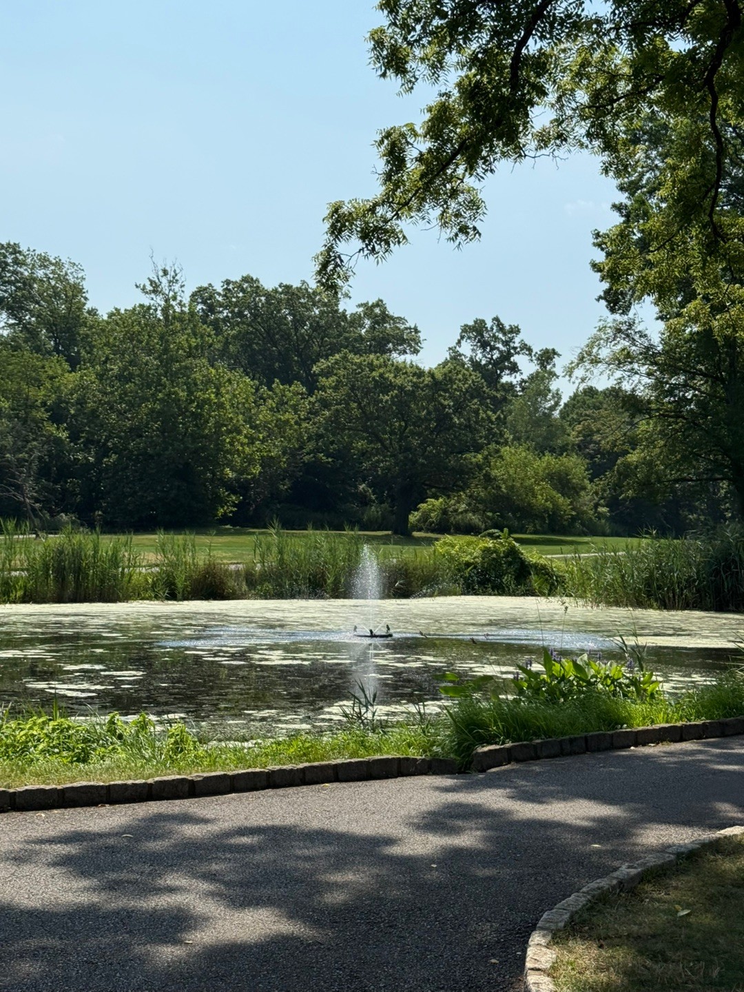 Clearview Park CC 이미지 1