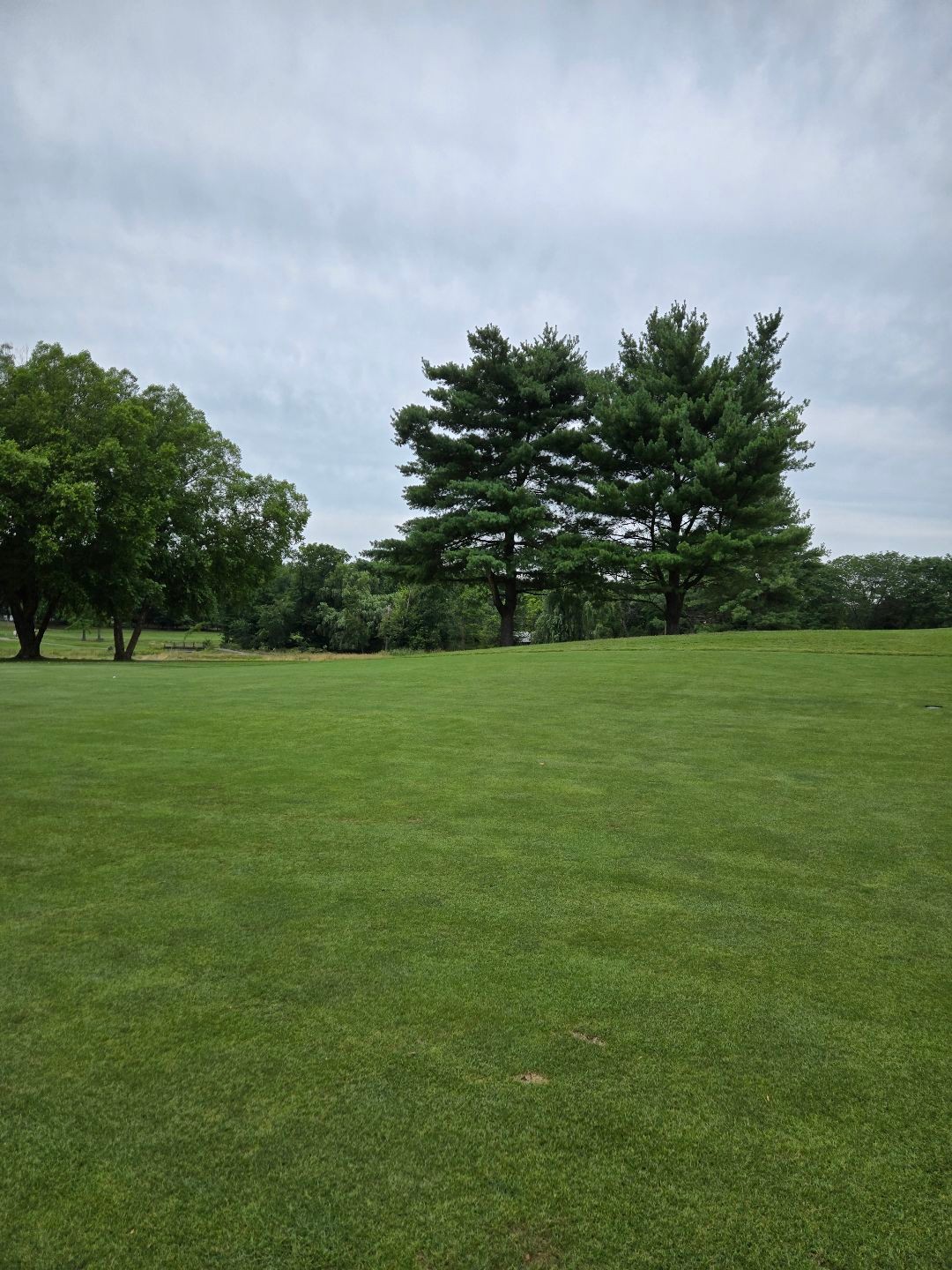 River Vale CC 이미지 2
