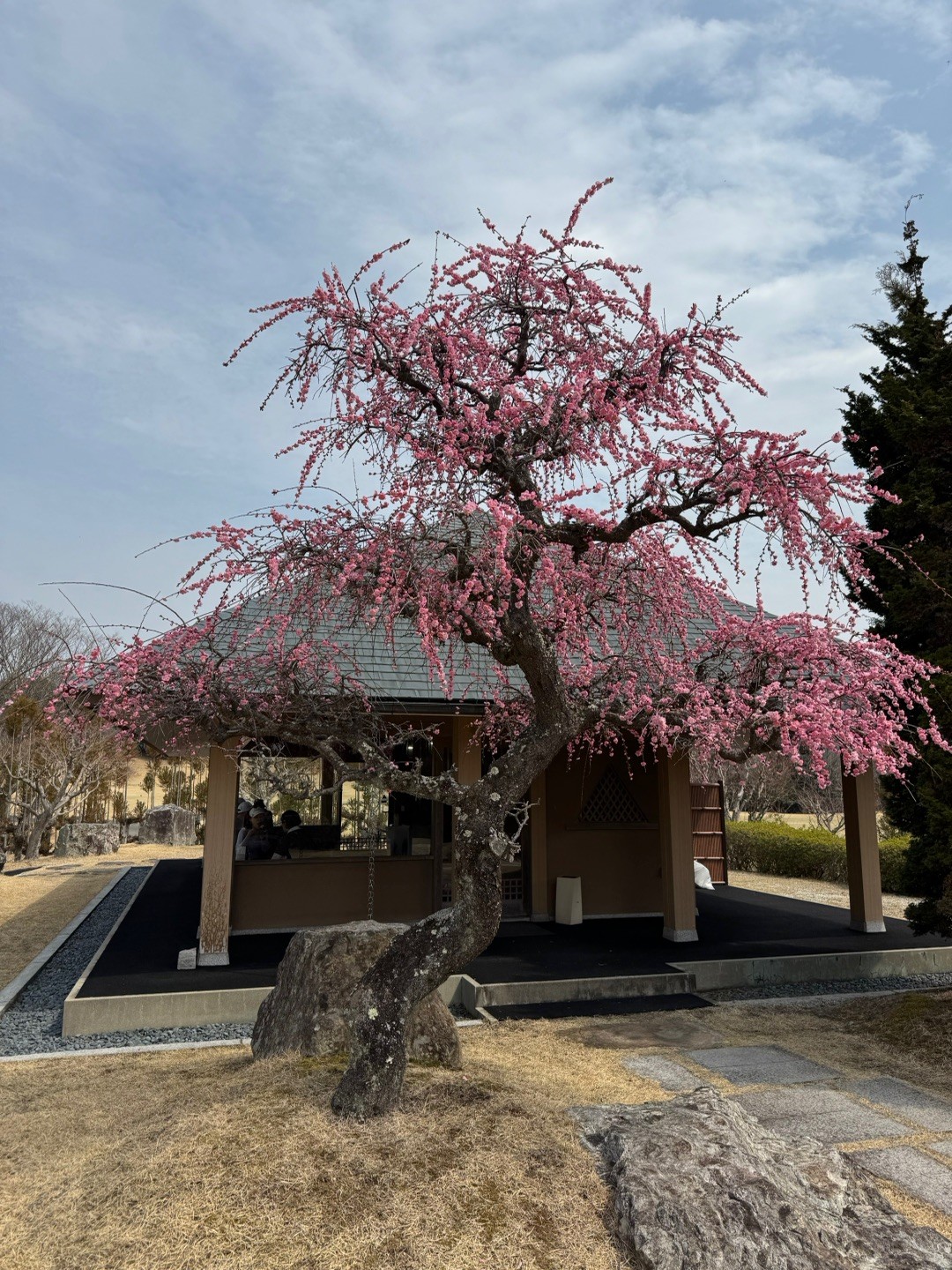 아트 레이크 CC 이미지 3