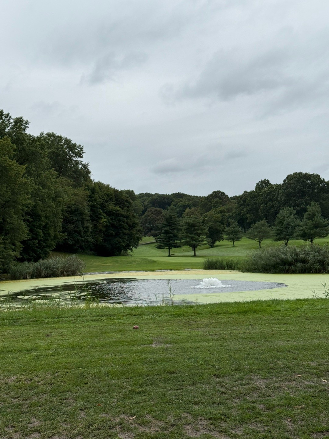 Forest Park CC_NY 이미지 1