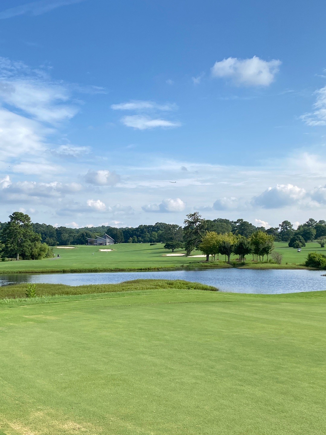 Browns Mill CC 이미지 1