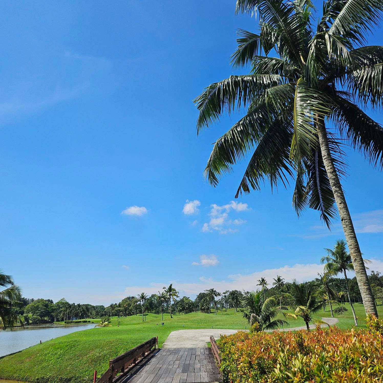 Palm Resort G&CC_Malaysia 이미지 1