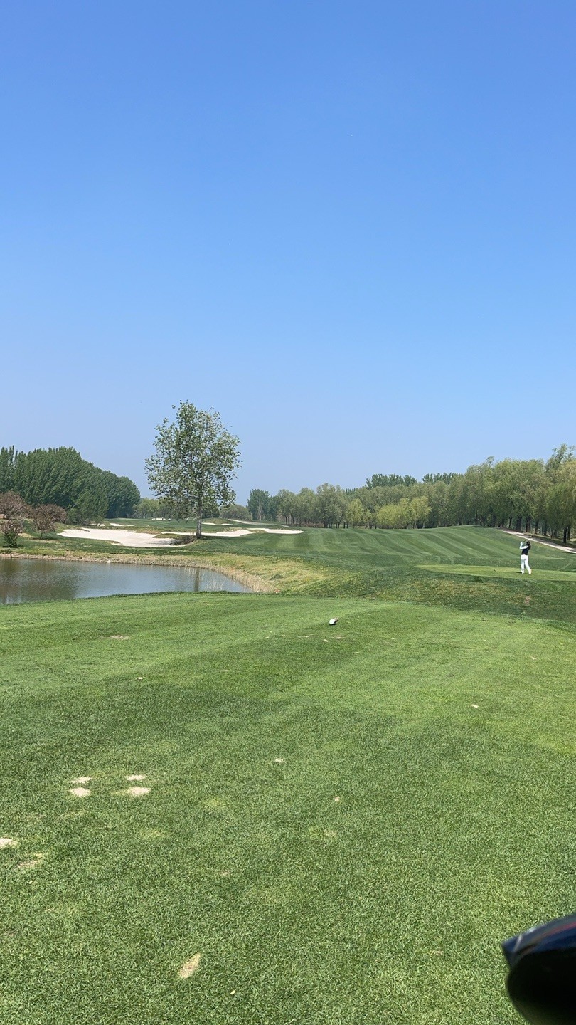 Oasis Golf 이미지 1
