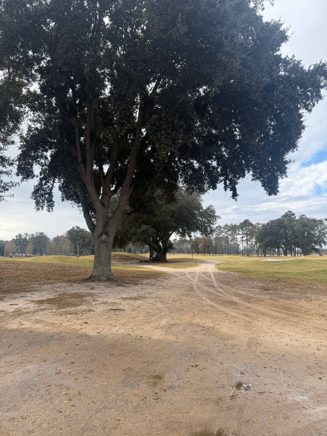 Black Creek Club 이미지 1