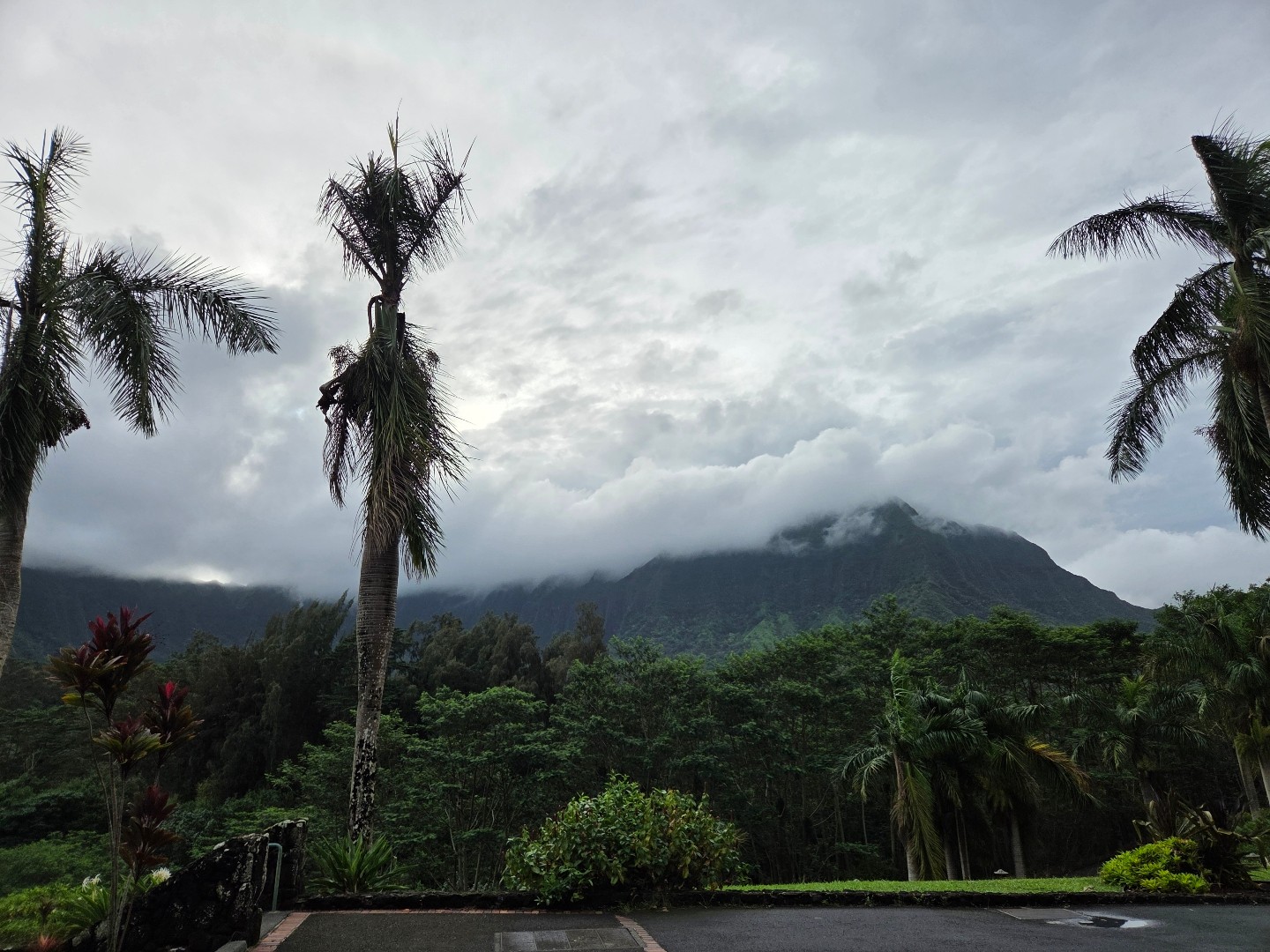 Royal Hawaiian CC 이미지 1