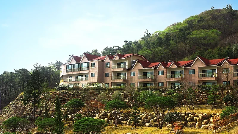 보성 CC 이미지 1