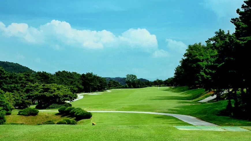 도고 CC 이미지 3