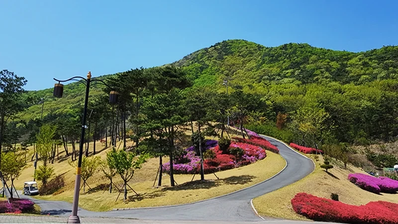 양산 CC 이미지 1
