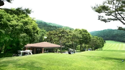 88 CC 이미지 4