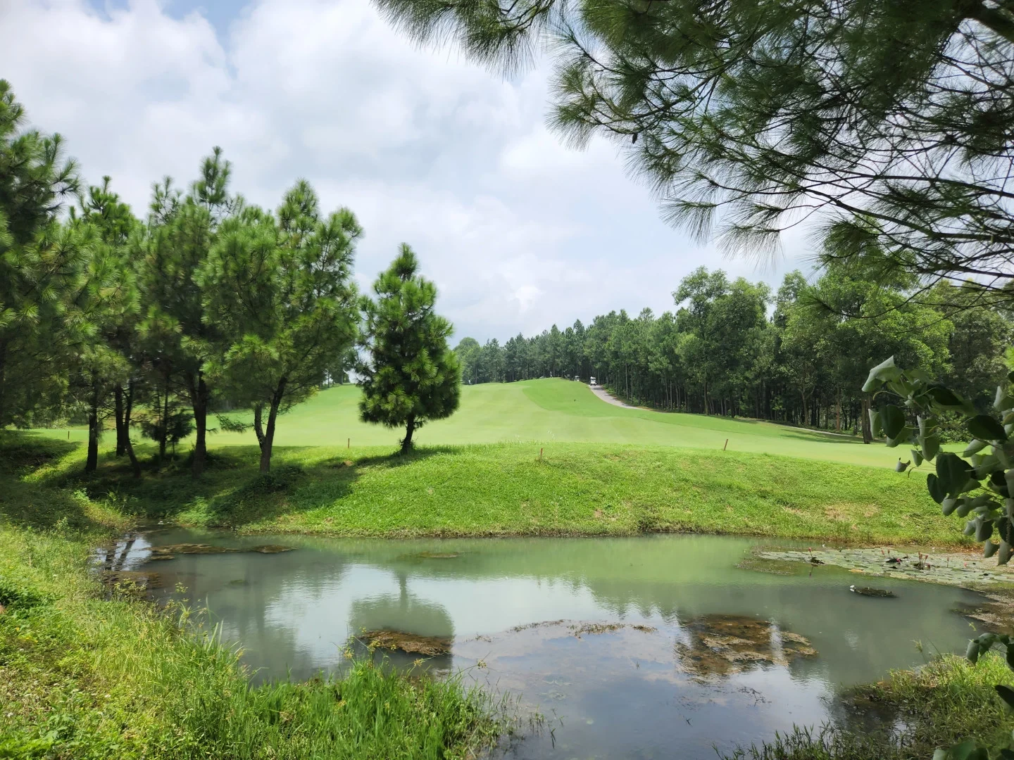 Dai Lai Star Golf & CC 이미지 3