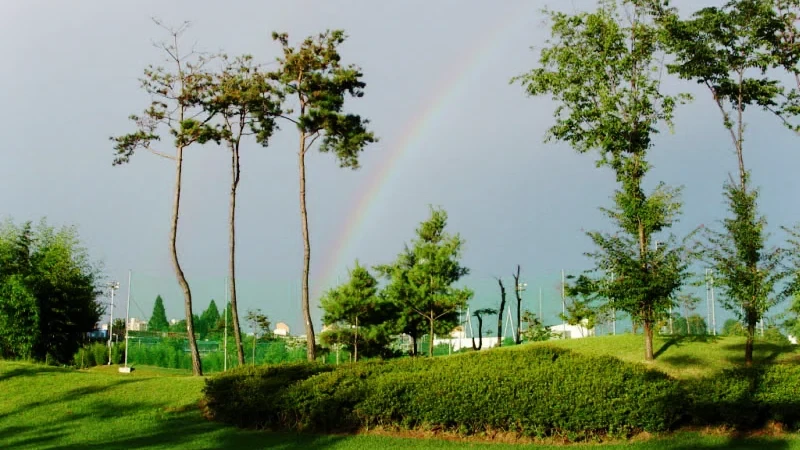 전주 월드컵 CC 이미지 4