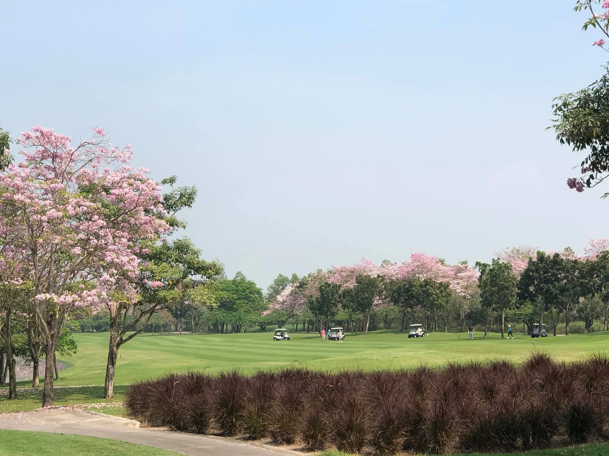 로터스 밸리 골프 리조트 이미지 12