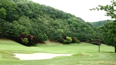 88 CC 이미지 5