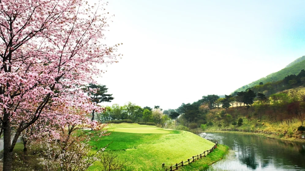 가산 CC 이미지 4