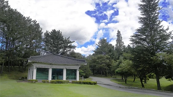 경주 신라 CC 이미지 6